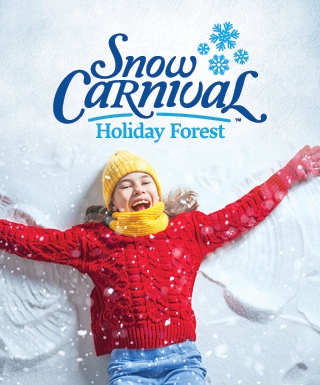 Snow Carnival